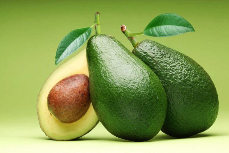 плоды авокадо
