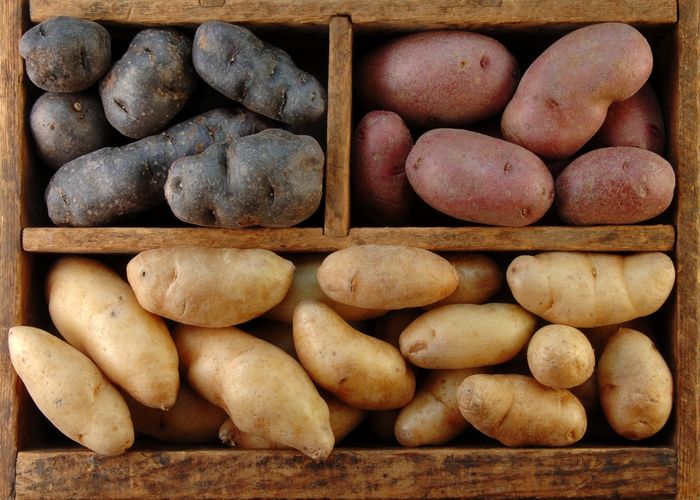 разные сорта картофеля