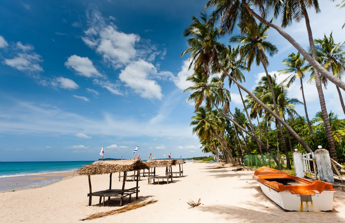 Пляж Шри-Ланки Тринкомале