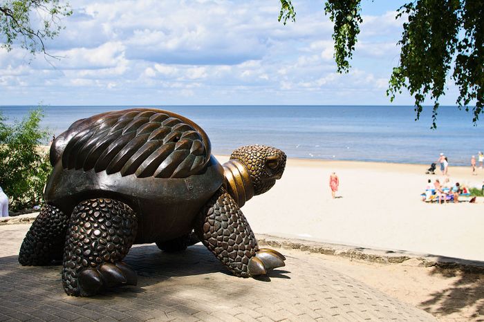 Юрмала черепаха на пляже