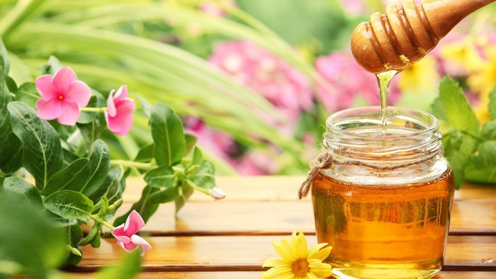 Аллергия на мёд: признаки проблемы, причины, методы лечения