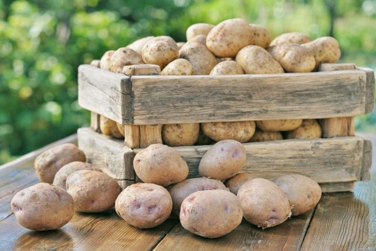 Хранение картошки