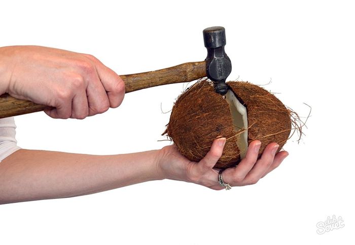 способ расколоть орех кокоса