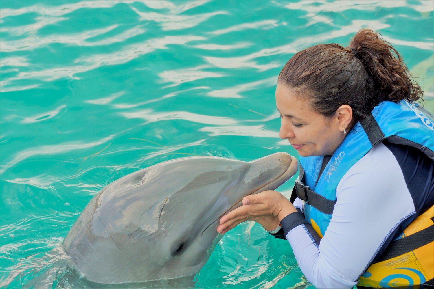 Общение с дельфином