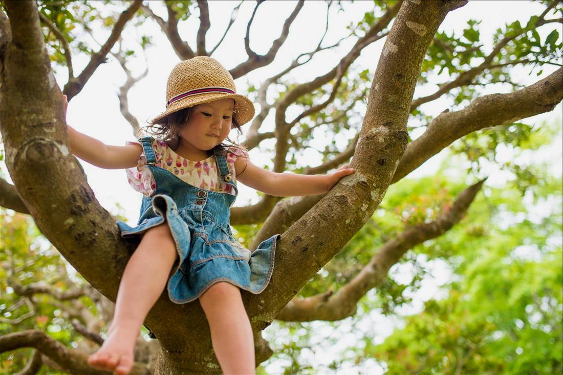 Девочка на дереве